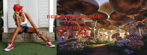 бутират Алзамай