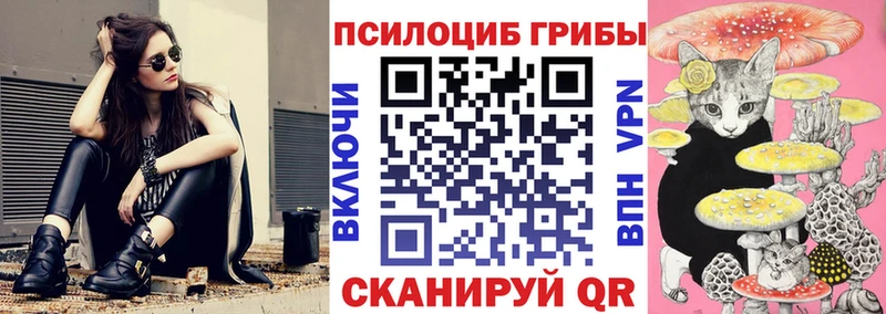 купить наркоту  Большой Камень  Галлюциногенные грибы ЛСД 